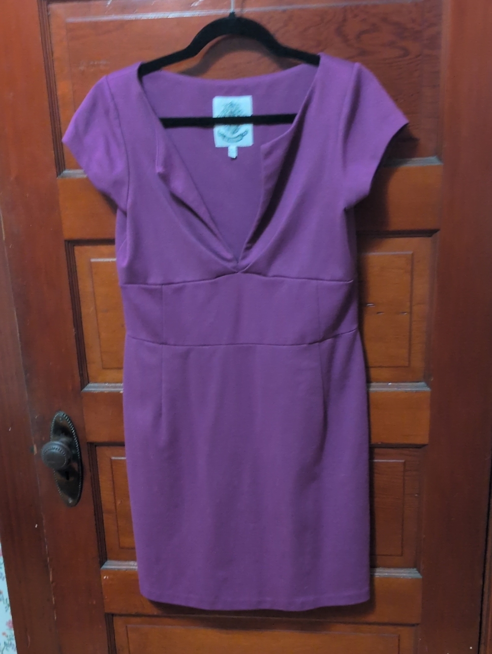 BB Dakota Plum V-Neck Cap-Sleeve Sheath Dress